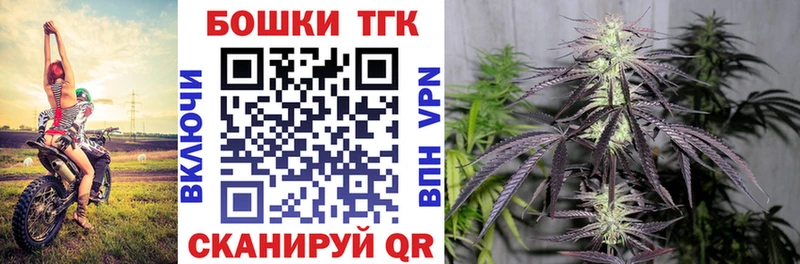 Канабис семена  блэк спрут   Арамиль 